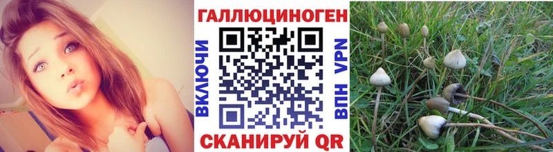 Псилоцибиновые грибы мухоморы  наркошоп  Губкинский 