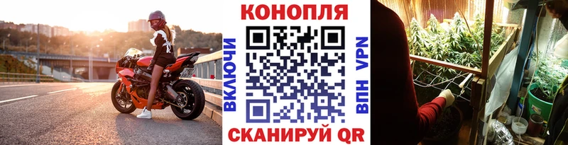 МАРИХУАНА гибрид Губкинский